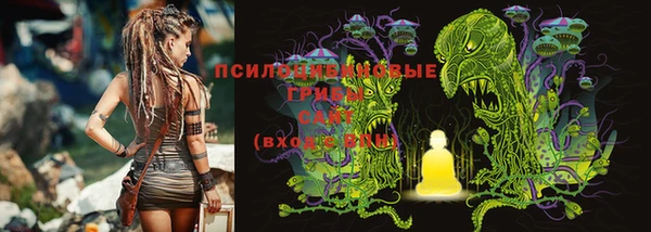 спиды Ростов